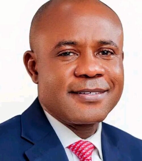 Enugu Gov Mbah Will Join APC Next Week -National Chairman Yilwatda