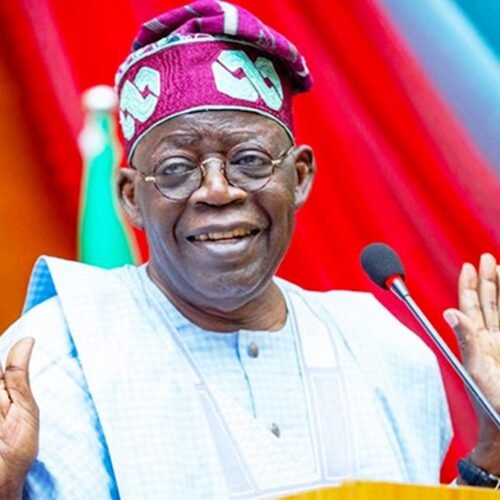 Tinubu Unfurls Six New Appointments For Education Sector Agencies, Five Are Professors