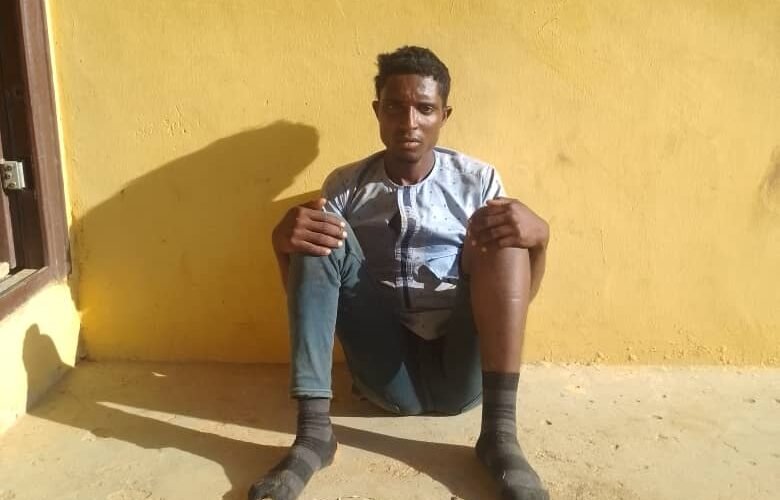 Kaduna Police Nab Kidnapper Of District Head, Recover AK-47, Illicit Drugs