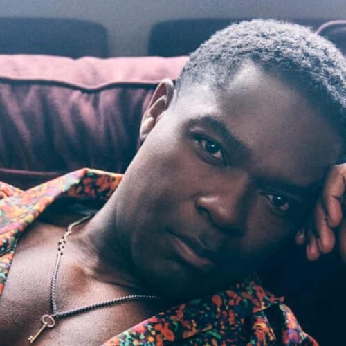 The Lashings Apart, Growing Up In Nigeria Taught Me To Value Elders’ Wisdom -British Actor David Oyelowo