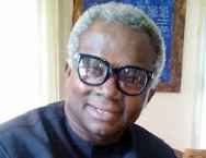 Financial Recklessness: VON Ex-DG Okechukwu Attacks PDP, Defends APC