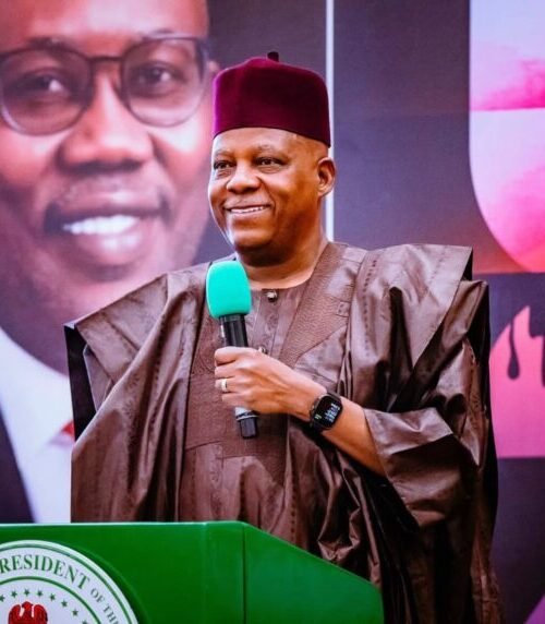 Opinion: VP Shettima Must Not Be Underestimated