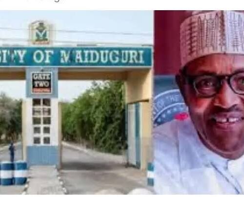 Row Over Renaming Of University Of Maiduguri To Buhari University