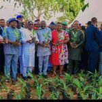 Partnering Journalists, Gov Alia Launches Palm Project