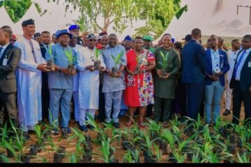 Partnering Journalists, Gov Alia Launches Palm Project