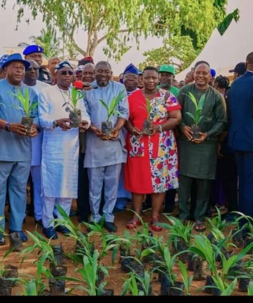 Partnering Journalists, Gov Alia Launches Palm Project