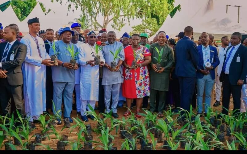 Partnering Journalists, Gov Alia Launches Palm Project