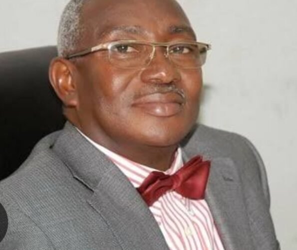 Let’s Encourage Tinubu To Practice Democracy