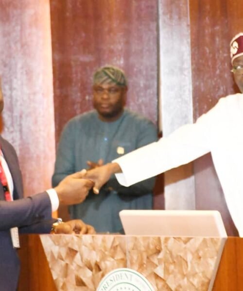 Senate Confirms Kingsley Udeh As Minister