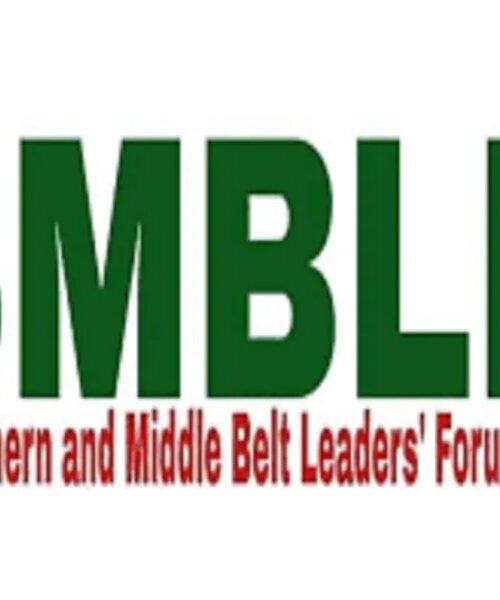 Insecurity: After Removing Security Chiefs, Also Sack Ribadu, Defence Ministers -Southern/Middle Belt Leaders Urge Tinubu