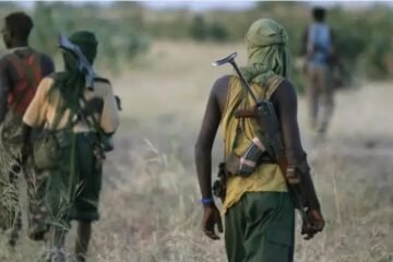 Send Troops Quickly -Benue Royal Father Who Lost Over 200 Subjects To Fulani Terrorists Begs Trump