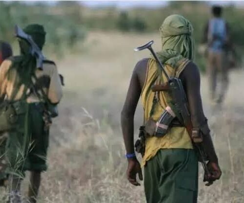 Send Troops Quickly -Benue Royal Father Who Lost Over 200 Subjects To Fulani Terrorists Begs Trump