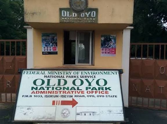Gunmen Attack Oyo Park, Kill 5, Injure Others