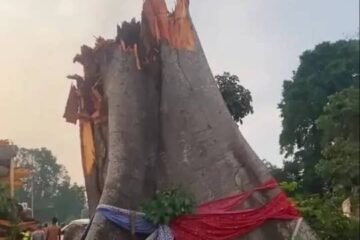 Police, FRSC Confirm 11 Killed By Tree In Enugu Community Road Mishap
