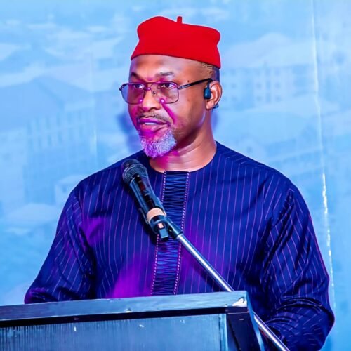 Former Minister, Chidoka, Slams Political Parties Over Multi-million Naira Nomination Forms, Says Such Excludes Majority