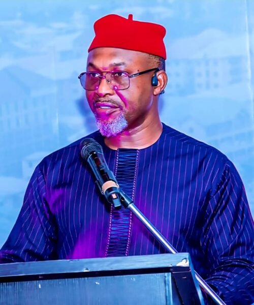 Former Minister, Chidoka, Slams Political Parties Over Multi-million Naira Nomination Forms, Says Such Excludes Majority