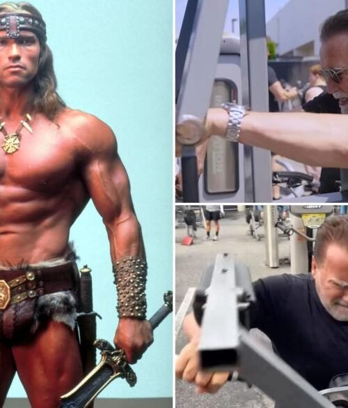 Arnold Schwarzenegger, 78, Undergoes Brutal Gym Prep For ‘Conan The Barbarian’ Sequel
