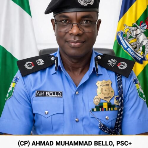 EXCLUSIVE! Within 60 Days, I Will Recover Communities Lost To Bandits In Zamfara -New Police Boss, Bello, Vows