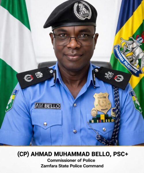 EXCLUSIVE! Within 60 Days, I Will Recover Communities Lost To Bandits In Zamfara -New Police Boss, Bello, Vows