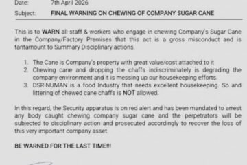 EXCLUSIVE! Dangote Firm Spits Fire Over Employees’ Sugar Cane-Chewing ‘Dirty’ Habit, Threatens Disciplinary Measures