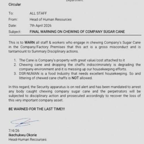 EXCLUSIVE! Dangote Firm Spits Fire Over Employees’ Sugar Cane-Chewing ‘Dirty’ Habit, Threatens Disciplinary Measures
