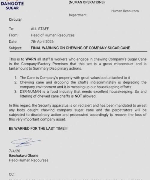 EXCLUSIVE! Dangote Firm Spits Fire Over Employees’ Sugar Cane-Chewing ‘Dirty’ Habit, Threatens Disciplinary Measures