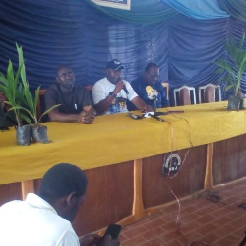 National Assembly Aspirant In Benue Empowers Constituents With Palm Seedlings