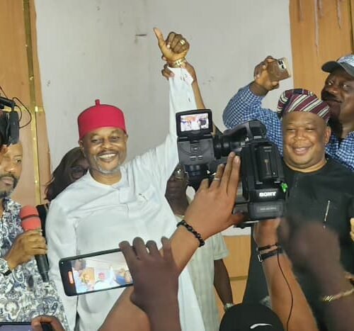 Resigned Minister, Uche Nnaji, Emerges PDP Guber Candidate In Enugu