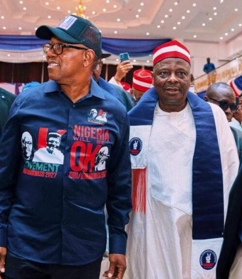 Obi Emerges NDC Presidential Candidate, Promptly Picks Kwankwaso As Running Mate