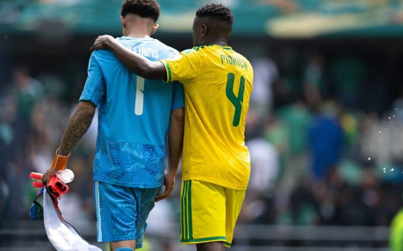 EXCLUSIVE! Angry South Africans Put Xenophobic Attacks Aside, Media Lay Into N79m-A-Month Bafana Coach Over World Cup Loss