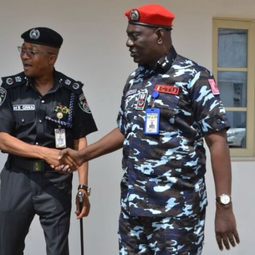 Enugu North Senatorial By-Election: Police Beef Up Personnel, Tighten Security, Restrict Movement