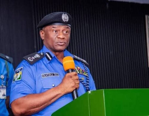 Insecurity: Police Officers Losing Lives -IGP Disu