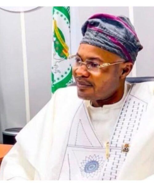 Adeniyi Adeyemi, Alleged Fake PFIPC DG/Accuser Of Presidential Chief Of Staff Femi Gbajabiamila, Arrested