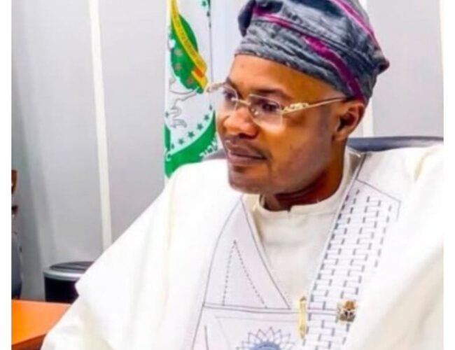 Adeniyi Adeyemi, Alleged Fake PFIPC DG/Accuser Of Presidential Chief Of Staff Femi Gbajabiamila, Arrested