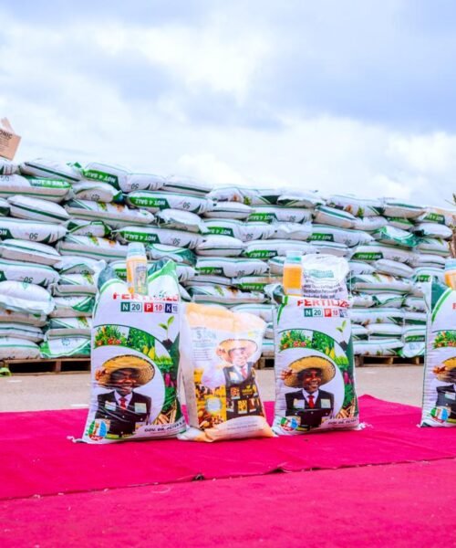 GOOD TIME FOR ENUGU SMALLHOLDERS: Mbah Flags Off Distribution Of Free Farm Inputs To 63,000 Farmers