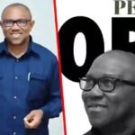 Peter Obi, CON At 65: Extolling A Visionary’s Enduring Influence