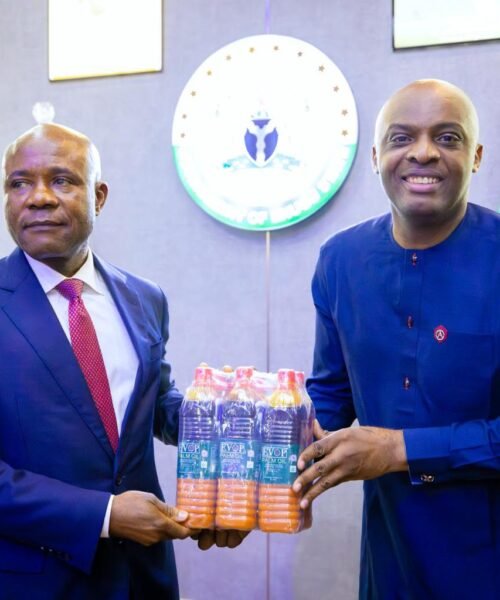 Enugu United Palm Products Firm Begins Commercial Production Of Palm Oil, Mbah Applauds