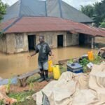TRAGIC! Houses Collapse, Rice Mills Go Under, Multimillion Naira In Crops Lost As Flood Ravages Enugu Communities
