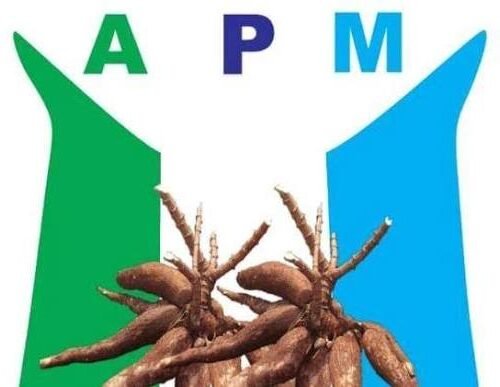 Makinde-led APM To Tinubu: Your Administration Has Admitted Responsibility For Nigerians’ Poverty, Apologize, Step Down From 2027 Race Over Lack Of Vision