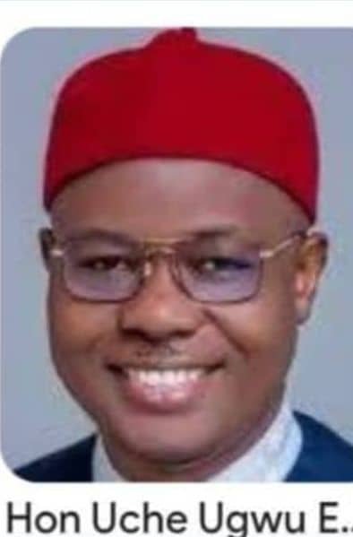 HAMMER! Enugu Assembly Sends Health C’ttee Packing, Alleges Gross Misconduct, High-Handedness