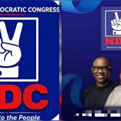 Petrol Discount: Sinking Tinubu Govt’s Desperate Move Deceitful Amid Millions Of Job Losses, Destroyed Businesses, Avoidable Deaths -NDC