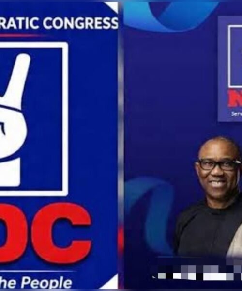 Petrol Discount: Sinking Tinubu Govt’s Desperate Move Deceitful Amid Millions Of Job Losses, Destroyed Businesses, Avoidable Deaths -NDC