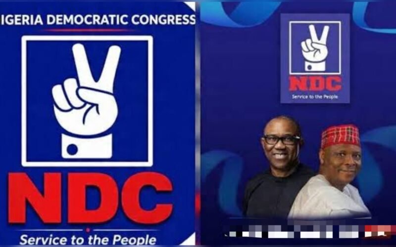 Petrol Discount: Sinking Tinubu Govt’s Desperate Move Deceitful Amid Millions Of Job Losses, Destroyed Businesses, Avoidable Deaths -NDC